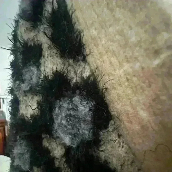 Super Soft Button Front Cardigan Animal Print XL - Picture 6 of 8